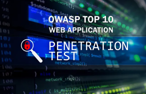 I can create penetration testing of web applications after the output of the owasp report