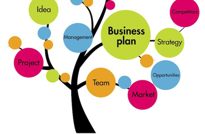 I will write business plan for investor with marketing and financial plan