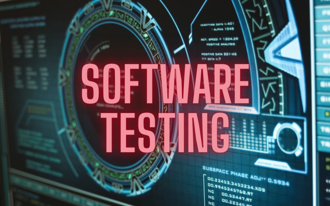 I will do professional software testing