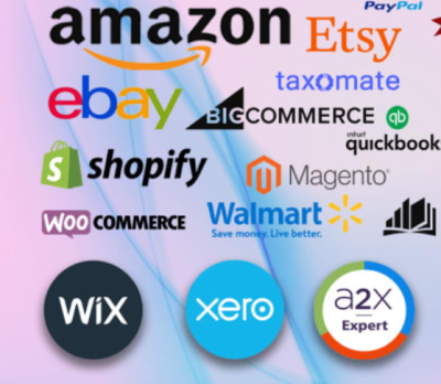 I can be your Amazon accountant, accountant, e-commerce assistant
