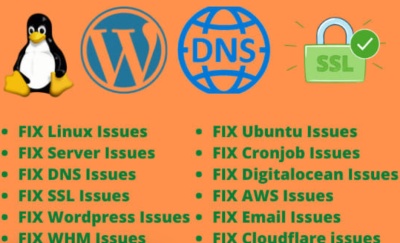 I can fix problems related to vps, linux, dns, whm, SSL, wordpress