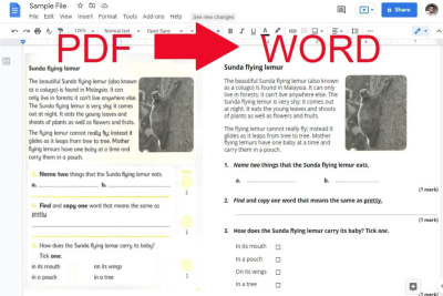 I will convert pdf, document, jpeg to word or google docs
