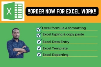 I will do Excel data entry