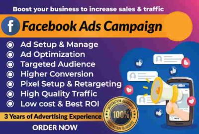 I will setup facebook ads campaign in ads manager for you