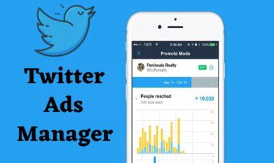 I will be your perfect twitter ads manager