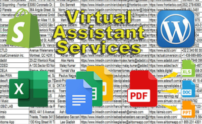 Virtual Assistant for 2 hours