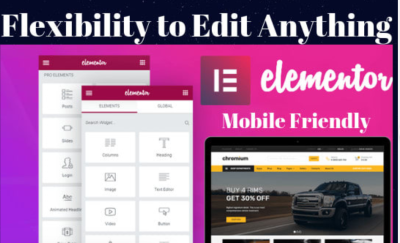 I will copy any web page into the elementor template