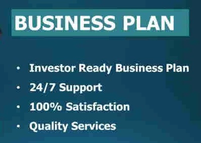 I will write a perfect business plan with a financial plan