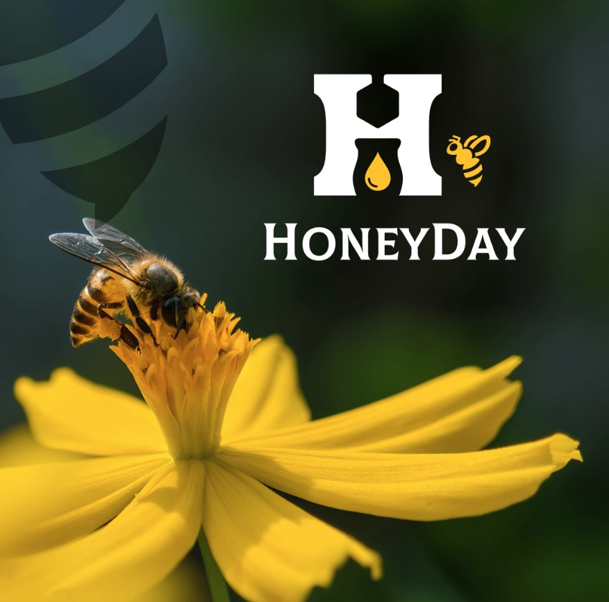 HoneyDay Logo