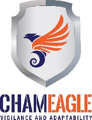 Chameagle Project